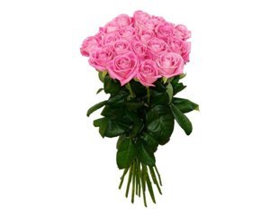 Rozā rozes 50 cm (skaits pēc izvēles) 