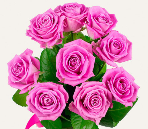 Rozā rozes 40 cm (skaits pēc izvēles) 
