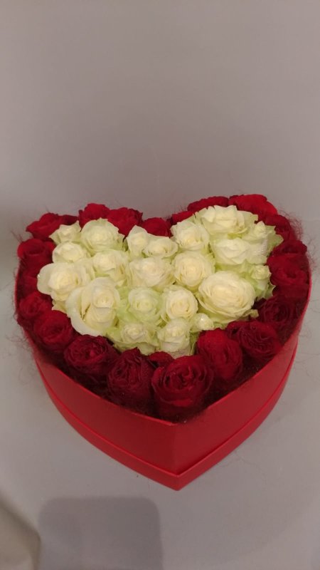 Sarkanas un baltas rozes sirds formas kastē