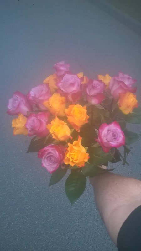 19 dzeltenas un rozā rozes (pēc izvēles - 3 dažādi garumi)