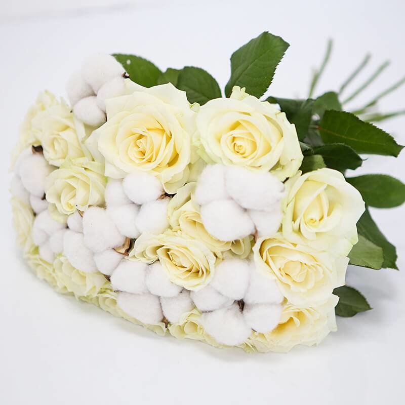 Balto rožu un kokvilnas pušķis 