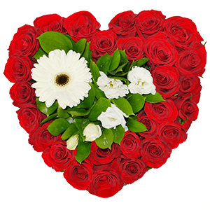 Rožu un gerberu sirds