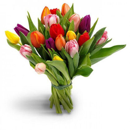 TIKAI PIEGĀDEI 10. UN 11. MAIJĀ!!! 19 dažādu krāsu tulpes + Raffaello 40g DĀVANĀ
