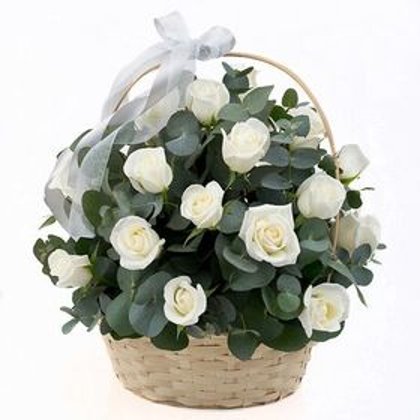 Balto rožu grozs