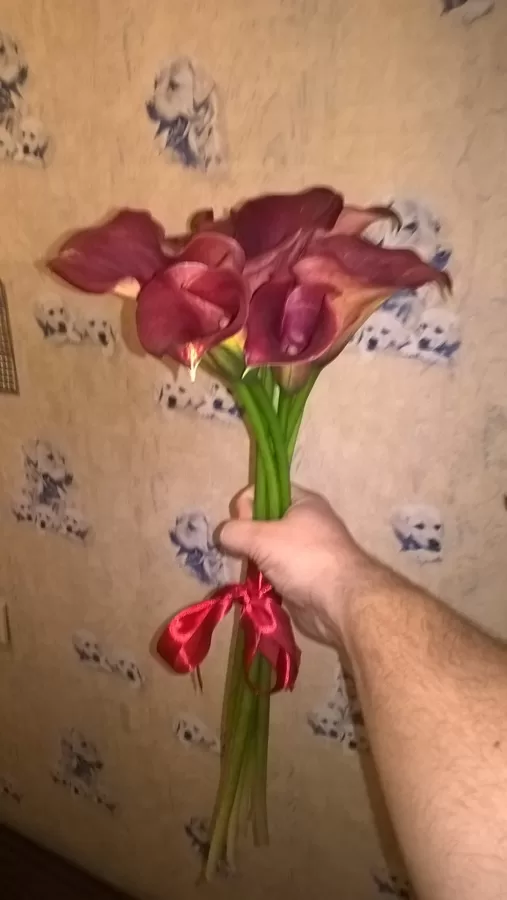 Kallas