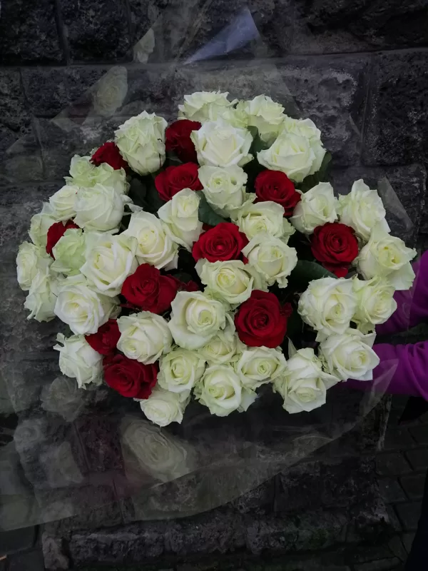 Rozes