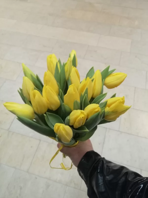 TULPES